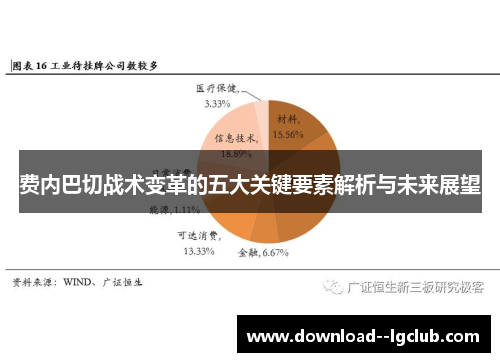 费内巴切战术变革的五大关键要素解析与未来展望
