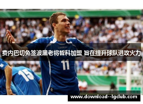 费内巴切免签波黑老将哲科加盟 旨在提升球队进攻火力 费内巴切免签波黑老将哲科加盟 旨在提升球队进攻火力