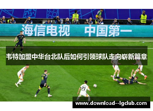 韦特加盟中华台北队后如何引领球队走向崭新篇章