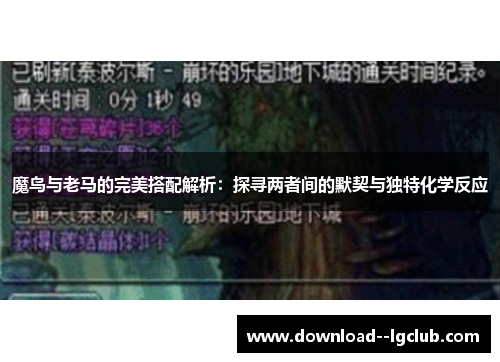 魔鸟与老马的完美搭配解析：探寻两者间的默契与独特化学反应