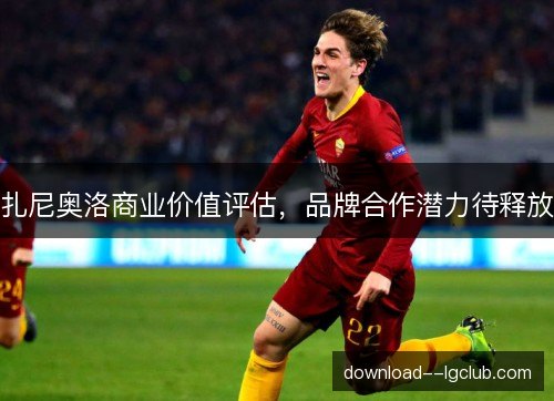 扎尼奥洛商业价值评估，品牌合作潜力待释放